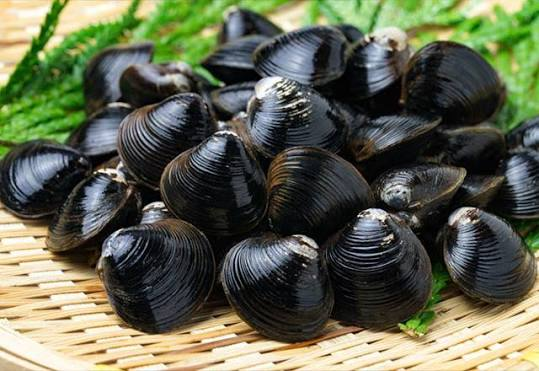 Yamato-shijimi clams from Lake Shinji piled in a bamboo basket